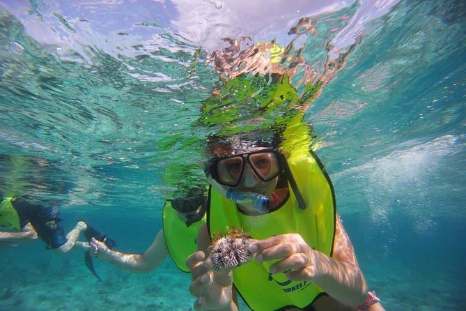 Fajardo Afternoon Snorkeling Adventure Tour - Starting at Villa Marina Shopping Center at 2:30 p.m.