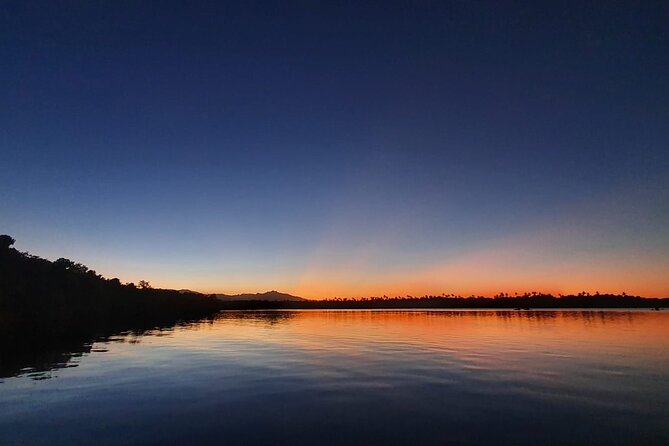 Fajardo Bioluminescent Bay Night Kayak Adventure from San Juan - Key points to know before booking
