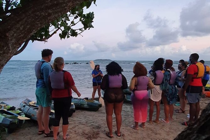 Fajardo Bioluminescent Bay Night Kayak Adventure from San Juan - How crowded is the experience?