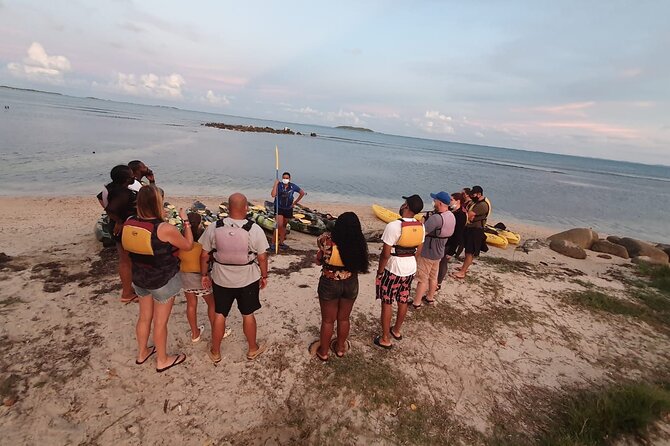 Fajardo Bioluminescent Bay Night Kayak Adventure from San Juan - What the $109 price really covers