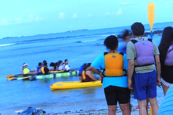 Fajardo Bioluminescent Bay Night Kayak Adventure from San Juan - Weather, moonlight, and the best chance of seeing the glow