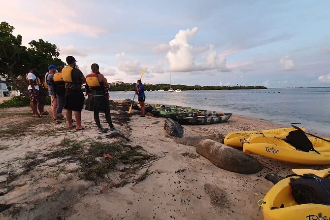 Fajardo Bioluminescent Bay Night Kayak Adventure from San Juan - The return paddle and the ride back