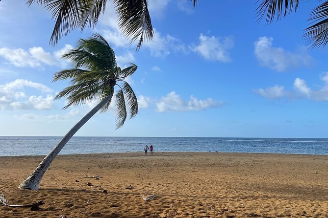 Fajardo Ceiba Ferry Marina Taxi to San Juan Taxi Transportation - How the $100 group price works