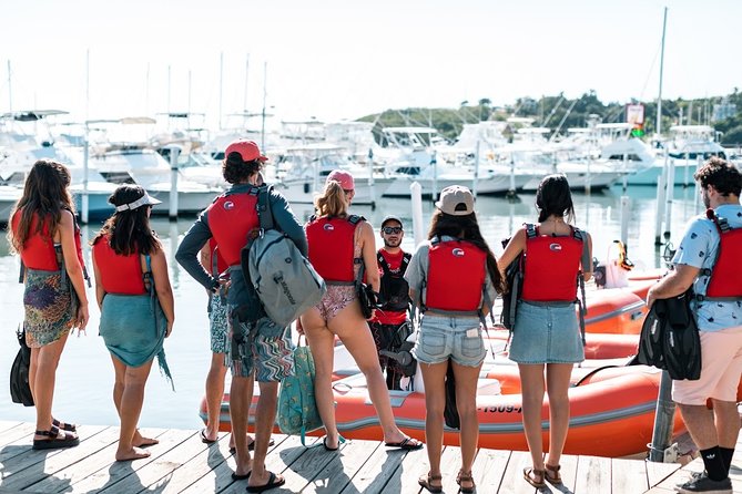 Fajardo Mini Boat Snorkel Safari - How much value do you get for $250?