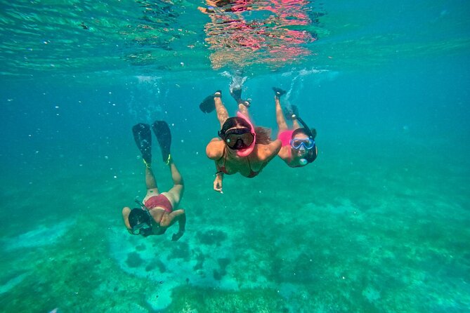 Fajardo, Puerto Rico: Morning Snorkeling Beach Tour - Key points to know before booking