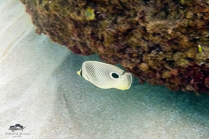 Fajardo, Puerto Rico: Morning Snorkeling Beach Tour - Lunch, refreshments, and the calm boat atmosphere