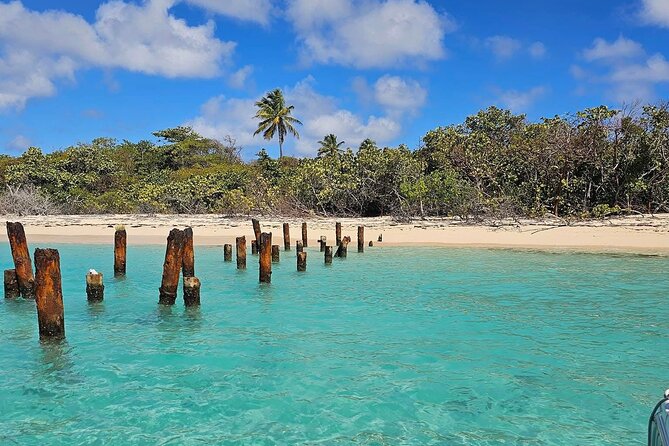 Fajardo Puerto Rico Private Boat Tour to Cayo Icacos - What the $850 group price really means