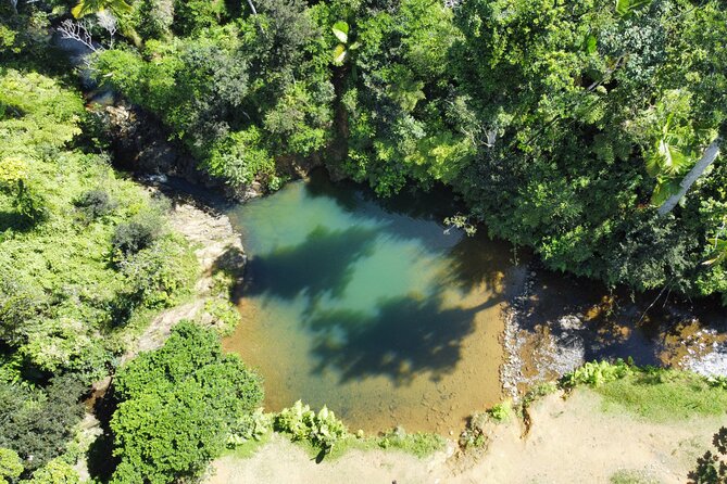 Famous Guavate Pork Road & Charco Azul Food & River Tour - Eating at Guavate’s lechoneras