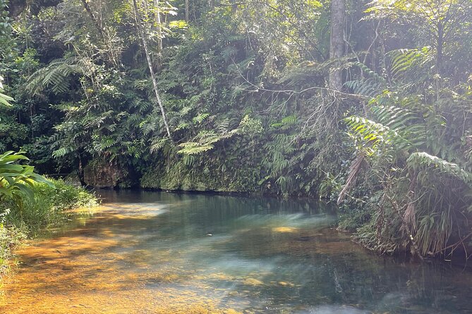 Famous Guavate Pork Road & Charco Azul Food & River Tour - Swimming in the cold pool