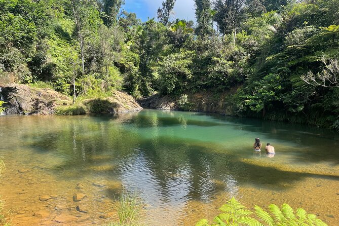 Famous Guavate Pork Road & Charco Azul Food & River Tour - Practical advice for a smoother outing