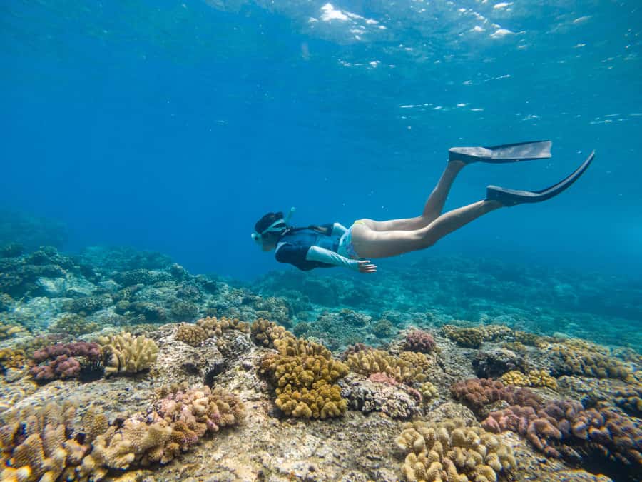 From Fajardo: Boat and Snorkeling in Culebra Island with All-Inclusive - Key points to know before booking