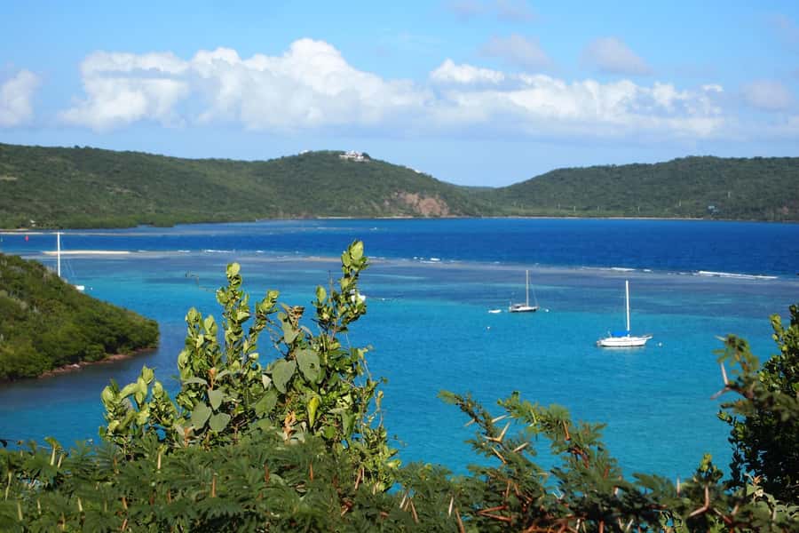 From Fajardo: Boat and Snorkeling in Culebra Island with All-Inclusive - Snorkeling over coral gardens and reef life