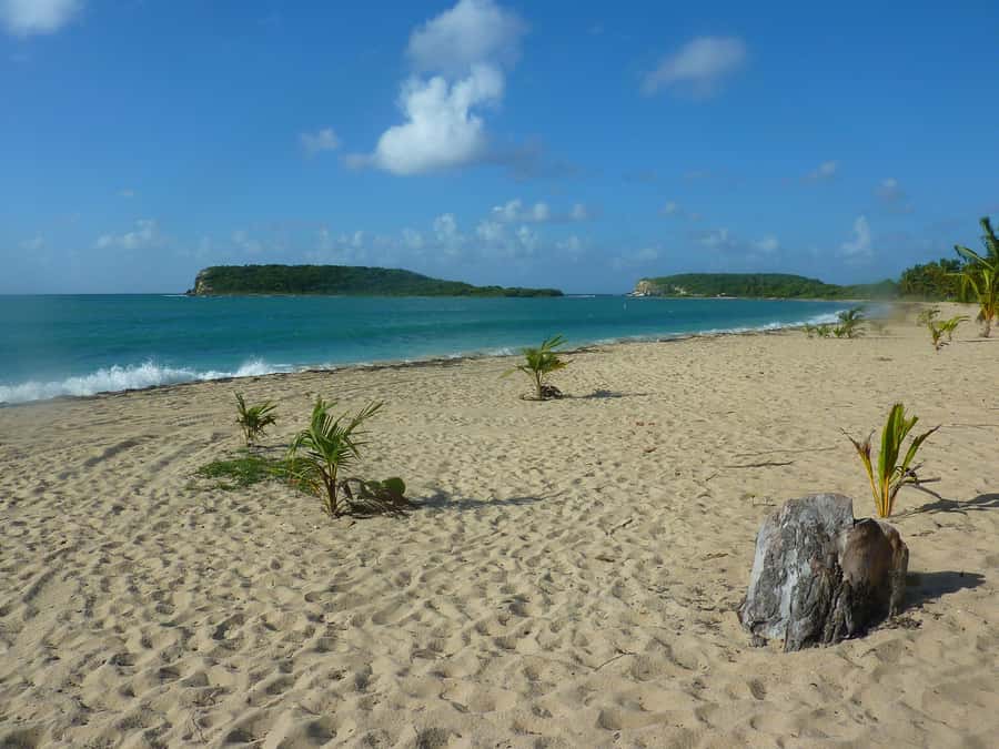 From Fajardo: Boat and Snorkeling in Culebra Island with All-Inclusive - What the $169 price really buys you