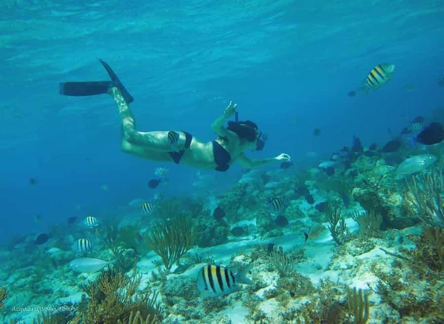 From Fajardo: Boat and Snorkeling in Culebra Island with All-Inclusive - Useful preparation for the morning