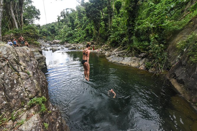 From San Juan: El Yunque Rainforest Hiking Adventure - The 5 things to know before booking