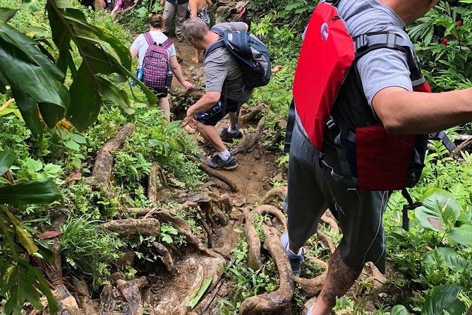 From San Juan: El Yunque Rainforest Hiking Adventure - The late lunch stop in Luquillo