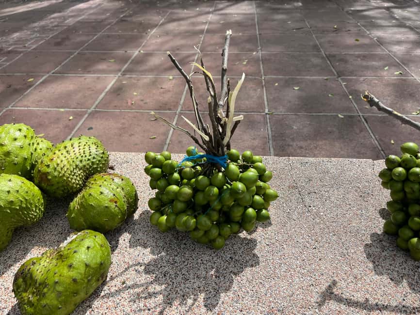 From San Juan: Full-Day Cultural Road Trip to Ponce - Pick one Ponce attraction instead of chasing them all