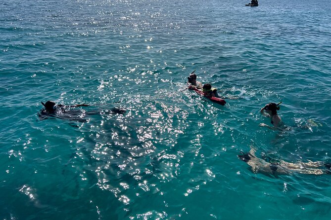 Full Charter All Inclusive for Icacos and Palomino - Price, group size, and the value question