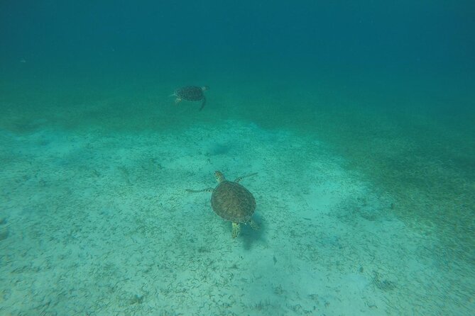Full Day Charter from Fajardo to Culebra - Beach Time at Honeymoon Beach