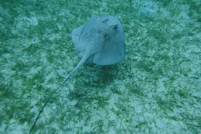 Full Day Charter from Fajardo to Culebra - What the $1,500 Group Price Really Means