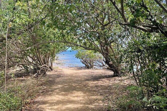 Full Day Eastern Island Tour - Las Pailas and the natural waterslide