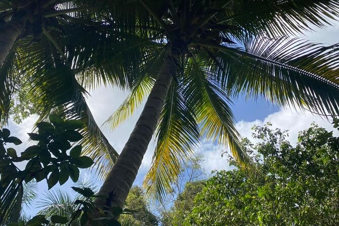 Full Day Eastern Island Tour - Chitty Taxi, restaurants, and beach time