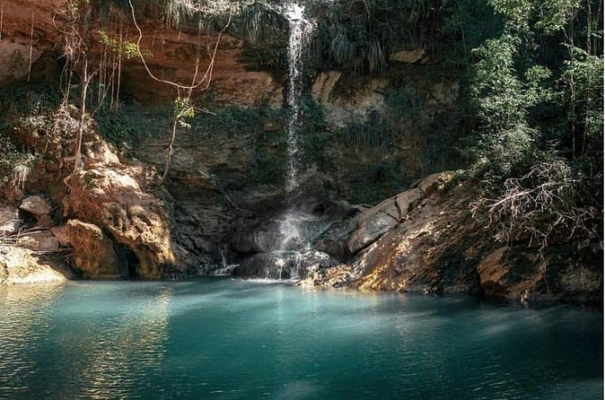 Full-Day Gozalandia Private Tour in Puerto Rico - Transportation, timing, and the value of $1,050