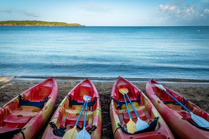 Full-Day Kayak Adventure – Explore Fajardo’s Crystal-Clear Waters - Why this Fajardo kayak rental is different