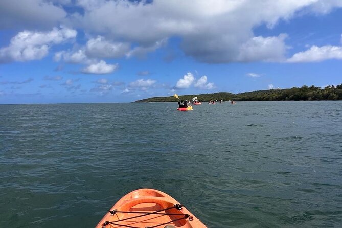Full-Day Kayak Adventure – Explore Fajardo’s Crystal-Clear Waters - Equipment, safety, and comfort on the water