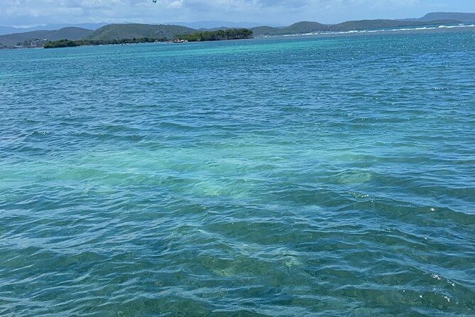 Full-Day Private Cruise in Cayo Caracoles - Key points to know before you book