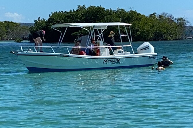 Full-Day Private Cruise in Cayo Caracoles - Choosing activity or pure relaxation