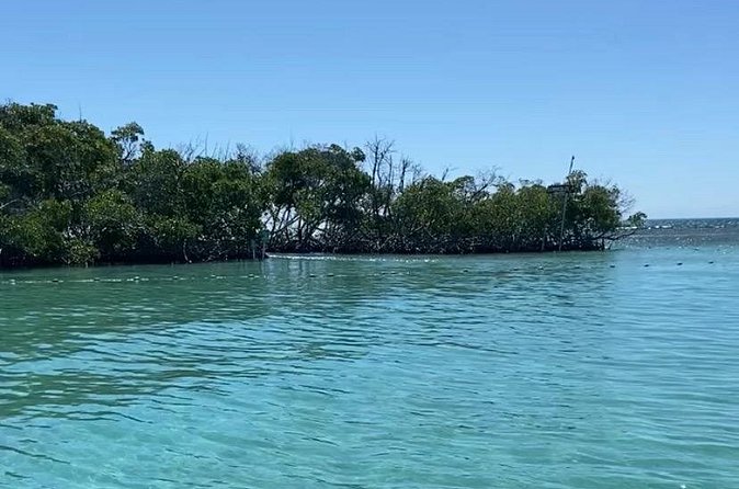 Full-Day Private Cruise in Cayo Caracoles - What the equipment and supplies mean for your day