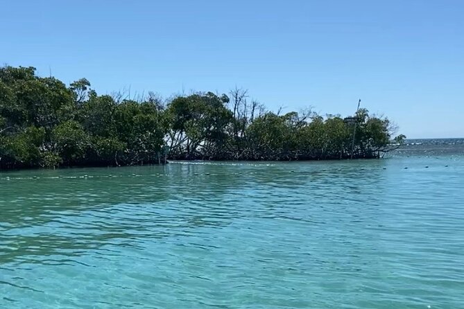Full-Day Private Cruise in Cayo Caracoles - Who will enjoy this La Parguera outing most