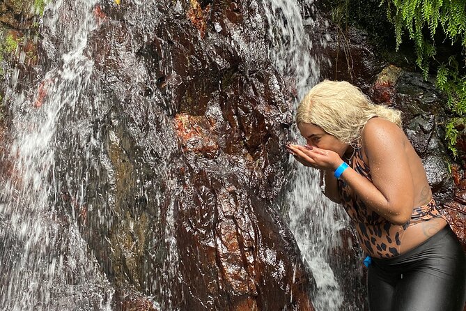 Full-Day Private Tour to Tinajas Waterfalls in El Yunque - Key points at a glance