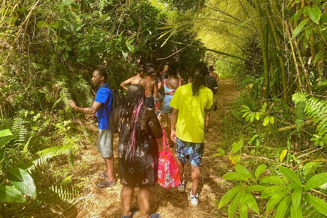 Full-Day Private Tour to Tinajas Waterfalls in El Yunque - What the guides add to the experience