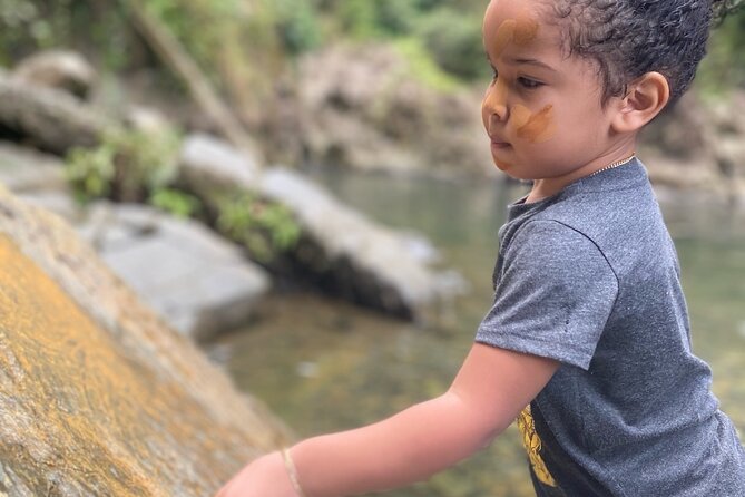 Full-Day Private Tour to Tinajas Waterfalls in El Yunque - Is the $700 private price good value?
