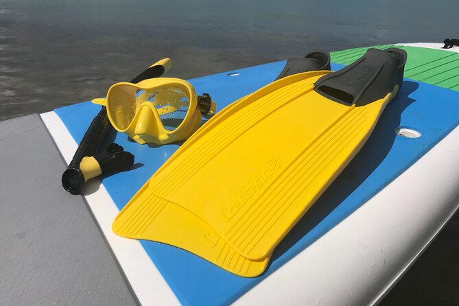 Full-Day Snorkeling Gear Rental in Puerto Rico - What you are really booking in Fajardo