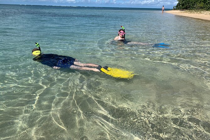 Full-Day Snorkeling Gear Rental in Puerto Rico - How the $34 price works for your plans