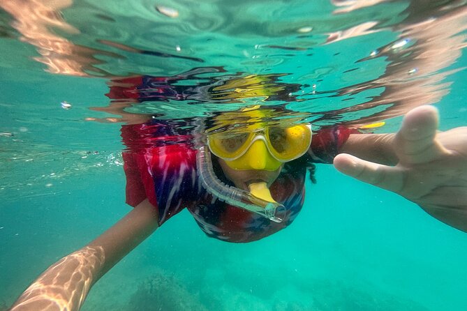 Full-Day Snorkeling Gear Rental in Puerto Rico - Planning the timing and the length of your swim