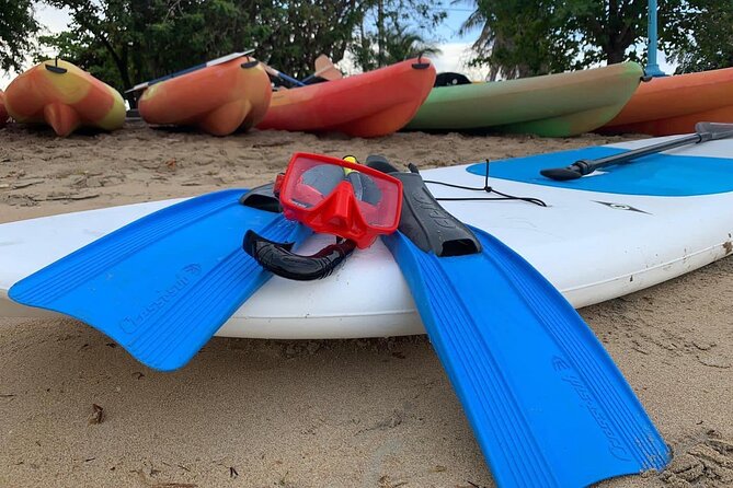 Full-Day Snorkeling Gear Rental in Puerto Rico - Weather, cancellation, and practical risk