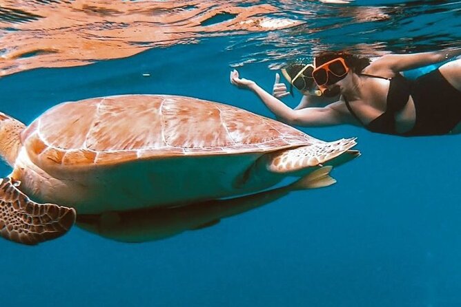 Full-Day Snorkeling Tour to Culebra Island with Lunch - Lunch, snacks, fruit, and a few drinks