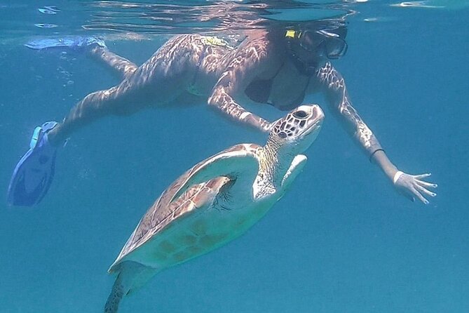 Full-Day Snorkeling Tour to Culebra Island with Lunch - Guided snorkeling near Culebra