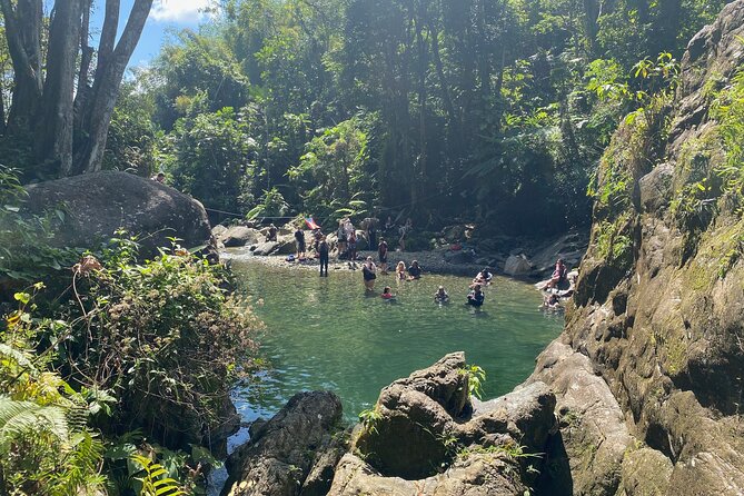 Full-Day Tinajas Hiking to El Yunque Rainforest with Transport - What the $120 price really buys you