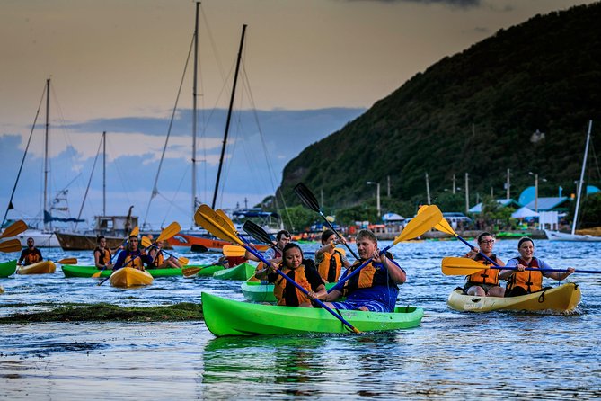 Full-Day Tour: El Yunque, Luquillo Beach, Bio Bay Night Kayaking - Why this three-part tour works