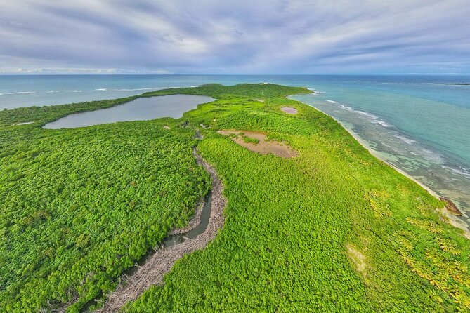 Full-Day Tour: El Yunque, Luquillo Beach, Bio Bay Night Kayaking - Laguna Grande is the memorable finale