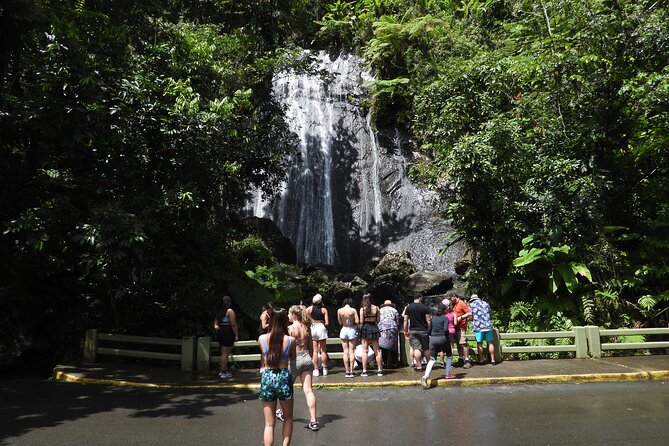 Full-Day Tour: El Yunque, Luquillo Beach, Bio Bay Night Kayaking - Physical demands, safety, and what to pack