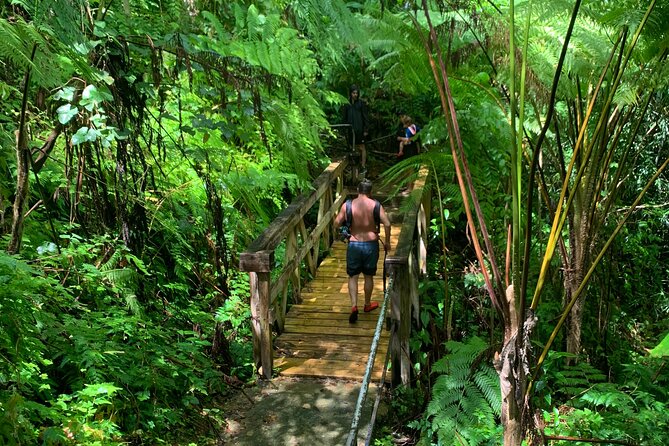 Full-Day Tour: El Yunque, Luquillo Beach, Bio Bay Night Kayaking - Puente Roto and El Yunque’s easy nature walk