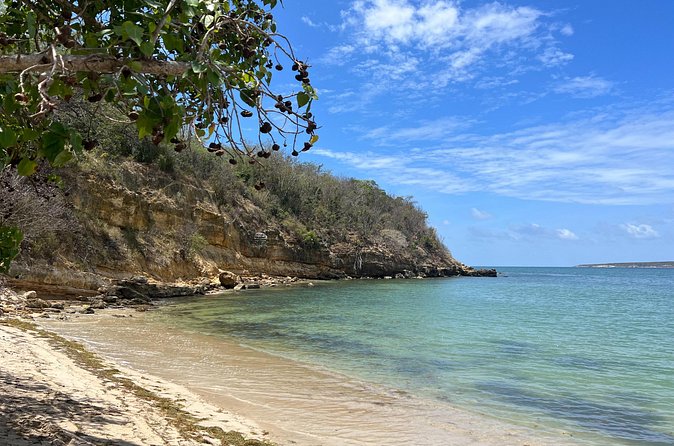 Full Day Vamos Pa la Isla Southwest Experience - Guánica Dry Forest offers a rare change of scenery