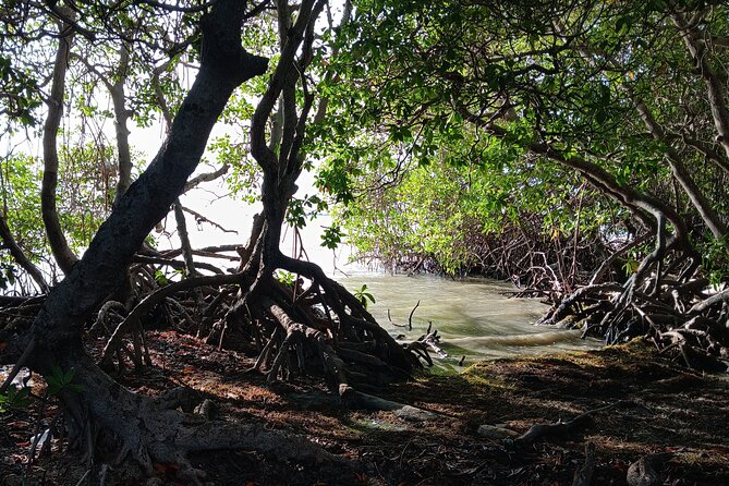 Full Day West Coast Adventure in Puerto Rico - Boquerón Village in 45 Minutes