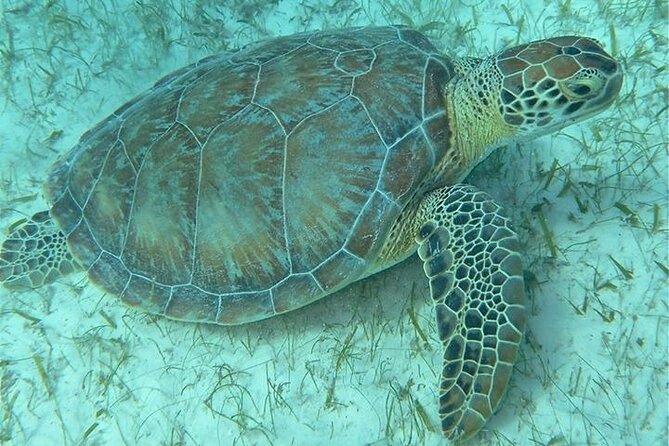 Get SCUBA Certified at San Juan - Who Should Take This Course